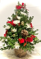 Oh Christmas Tree Boxwood 